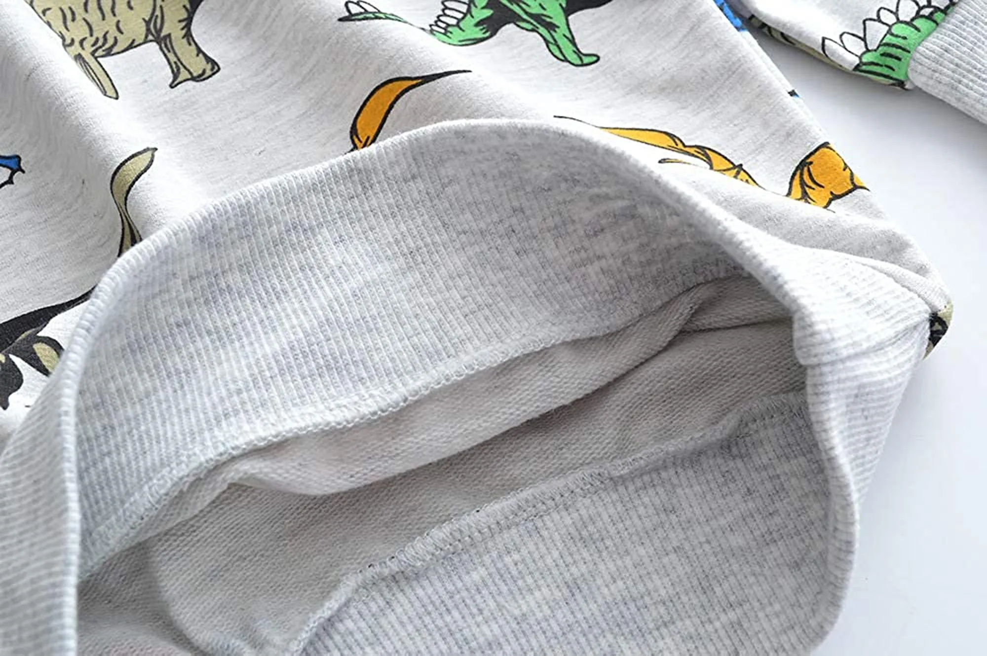 Little Hand Toddler Boy 100% Cotton Dinosaur Sweatshirt Pullover 5t